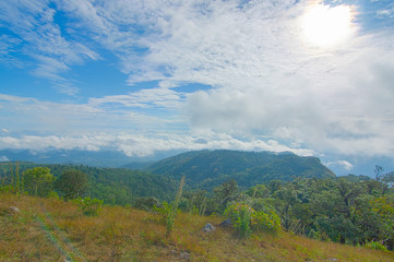 Fototapeta premium cloud, fog and mist on top of mon jong doi at Chaing mai,Thailand