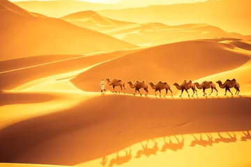  woestijn kamelen team © chungking