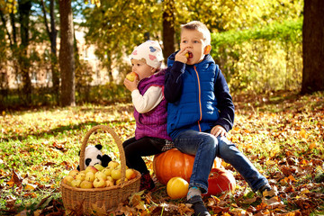 Happy girl and boy in autumn park with soft panda, apples and pumpkins