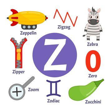 Vector cute kids animal alphabet. Letter Z. Set of cute cartoon illustrations. 