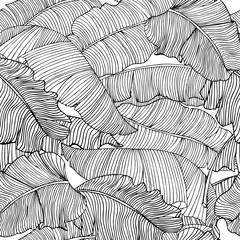 Seamless pattern of exotic, white banana leaves with a black outlines isolated on a transparent background. Decorative image with tropical foliage.