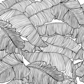 Seamless pattern of exotic, white banana leaves with a black outlines isolated on a transparent background. Decorative image with tropical foliage.