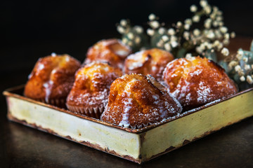 Homemade muffins with powdered sugar on a dark background, selective focus. Romantic concept.