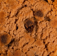 top of a cookie as background