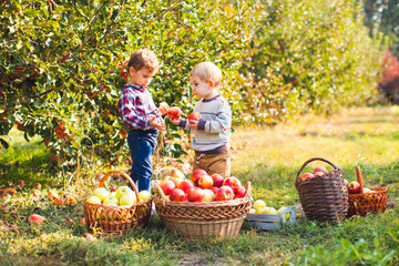 Pretty kids eat fruits at fall harvest