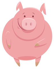 cute pig animal character cartoon illustration