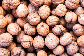 Natural walnut in shell background pattern texture