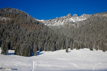 Fototapeta na wymiar beautiful winter landscape in Tatra Mountains, Poland