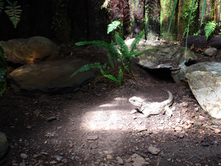 New Zealand, Edwin Family, Vacation, Road Trip