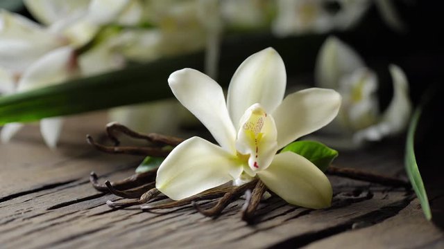 Vanilla flower with vanilla sticks are on the old wooden board, men's hand puts another stick. Vanilla orchid is behind.