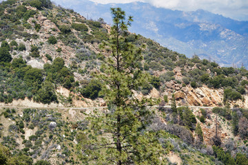 Fototapeta na wymiar Mountain nature in Sequoia National Park