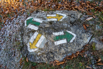 Tourist crossroad signs painted on a rock surrounded with frost covered autumn leaves close up