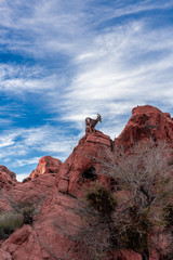 Valley of Fire - Nevda State park