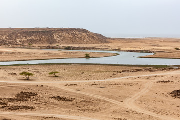 Khor Rori near Taqah, near Salalah, Dhofar Province, Oman