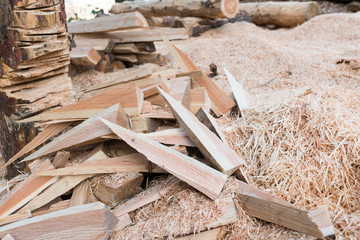 ourdoor workshop for lumberjack anad forest warden to cut wood and wedges with wood shavings on the ground in the forest