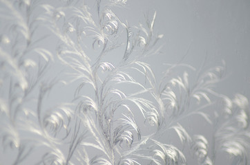 frost on the window, beautiful pattern