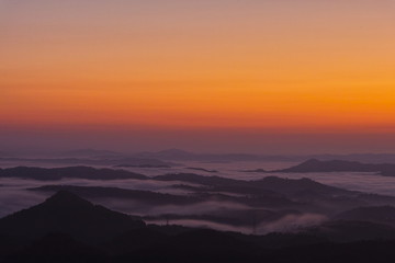 弥高山の雲海