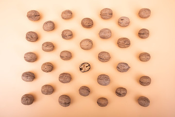 raw walnuts top view photo, background is yellow