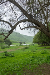 Wadi Darbat, near Salalah, Dhofar Province, Oman