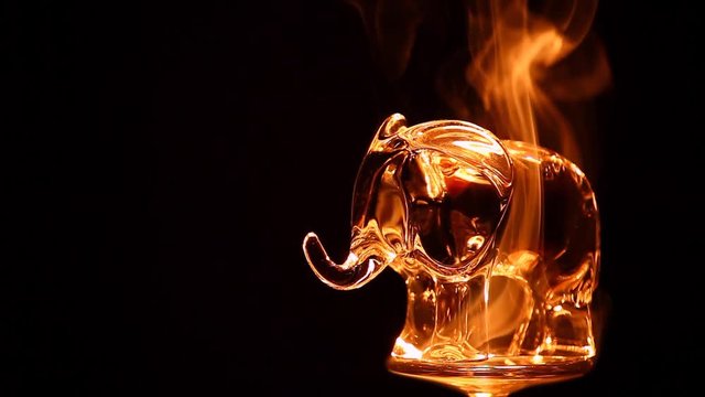 glass elephant smoke dark background hd footage 