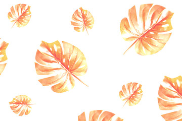 Collage of monstera leaves color coral on white backgrou