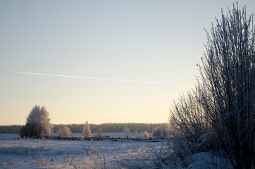 Beautiful winter nature, snow and trees