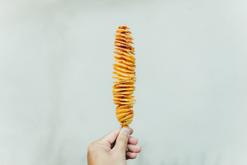 Potato twist fried Tornado Potatoes Foodstuff