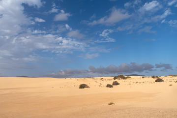 Fototapeta na wymiar Corralejo Dunes Natural Park, Fuerteventura, Spain