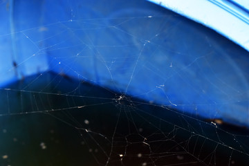 Una tela de araña enfocada 