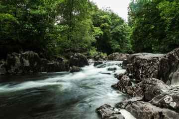 River Rapids Long Exposure Through Forest