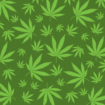 cannabis leaf pattern vector