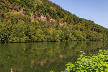river Neckar near Heidelberg with forest