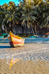boat on beach in front of palm trees