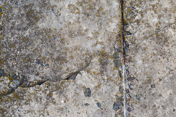Asbestos slate texture concrete covered with lichen and moss