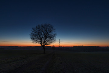 Fototapeta na wymiar Lone Tree And Power Line At Sunset