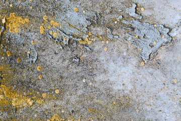 Asbestos slate texture concrete covered with lichen and moss