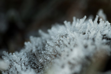 Frost Formation Close Up