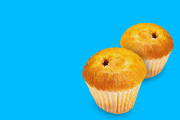 Pair of baked muffins without cream in paper form on blue background with copy space for your text