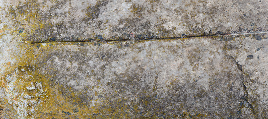 Asbestos slate texture concrete covered with lichen and moss