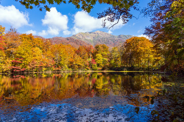紅葉の白山国立公園・刈込池