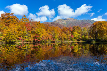紅葉の白山国立公園・刈込池