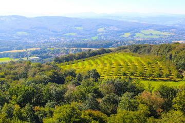 Forest in Austria from above, Tullnerfeld