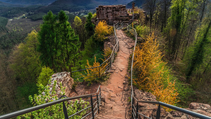 Fototapeta premium Burgruine Falkenstein