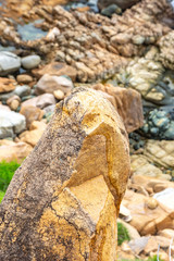 Macro shooting of a stone on the seashore against a background of stones
