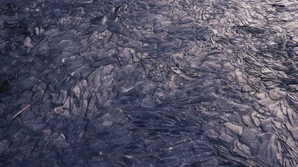 cracked ice on the river