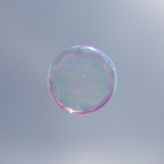 Soap bubble flying in the air