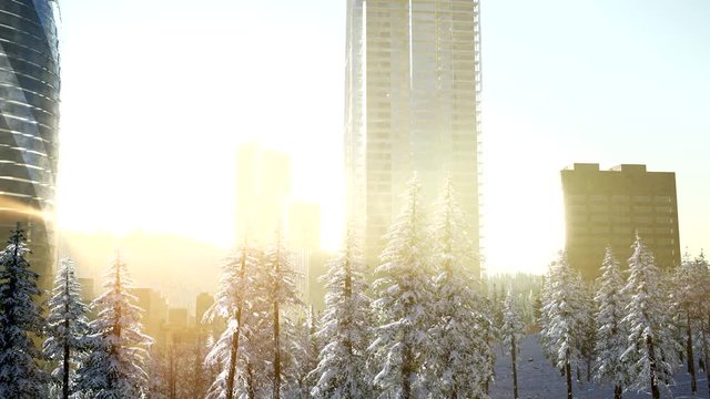 sity and forest in snow at sunrise