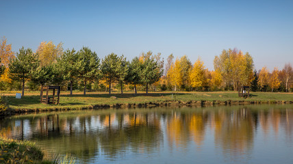 Fototapeta na wymiar Trees on the Lake