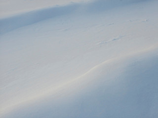 Shadows in the snow 2