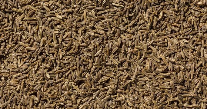 caraway seeds rotating full frame view directly from above, seamless looping